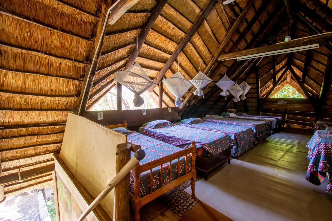 Victoria Falls Backpackers Lodge Bagian luar foto