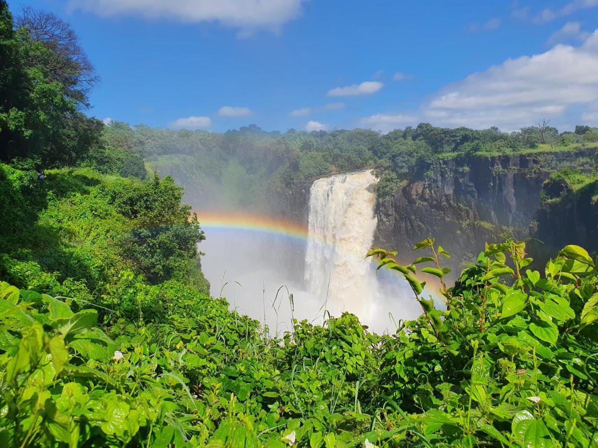 Victoria Falls Backpackers Lodge Bagian luar foto