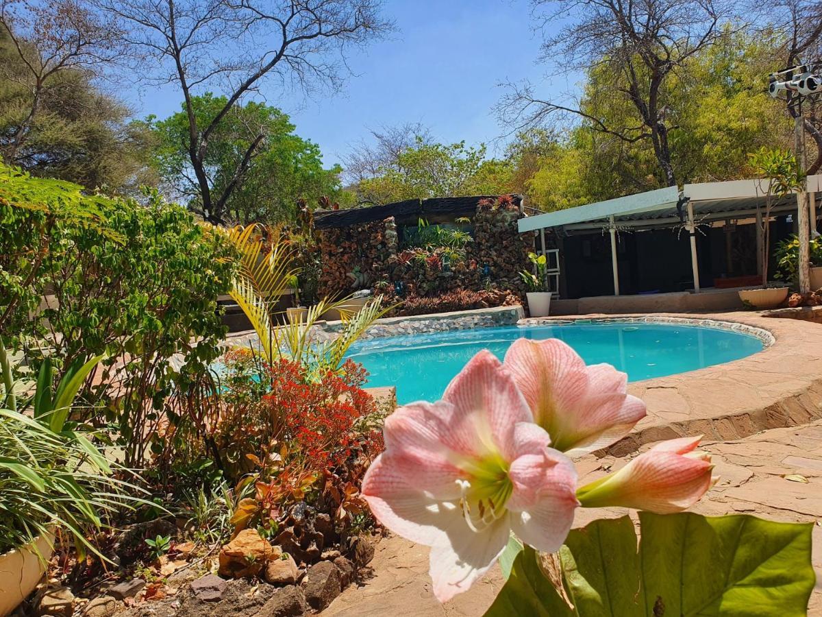 Victoria Falls Backpackers Lodge Bagian luar foto