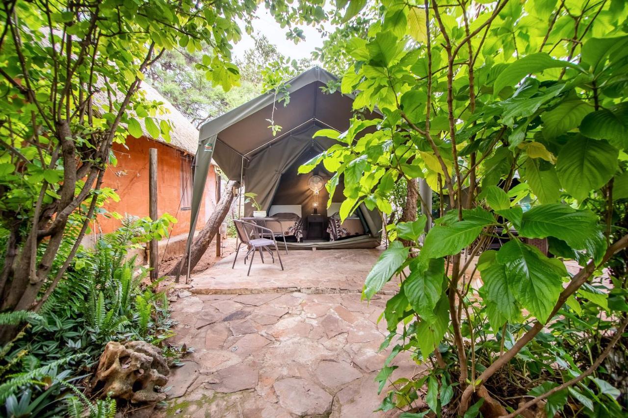 Victoria Falls Backpackers Lodge Bagian luar foto