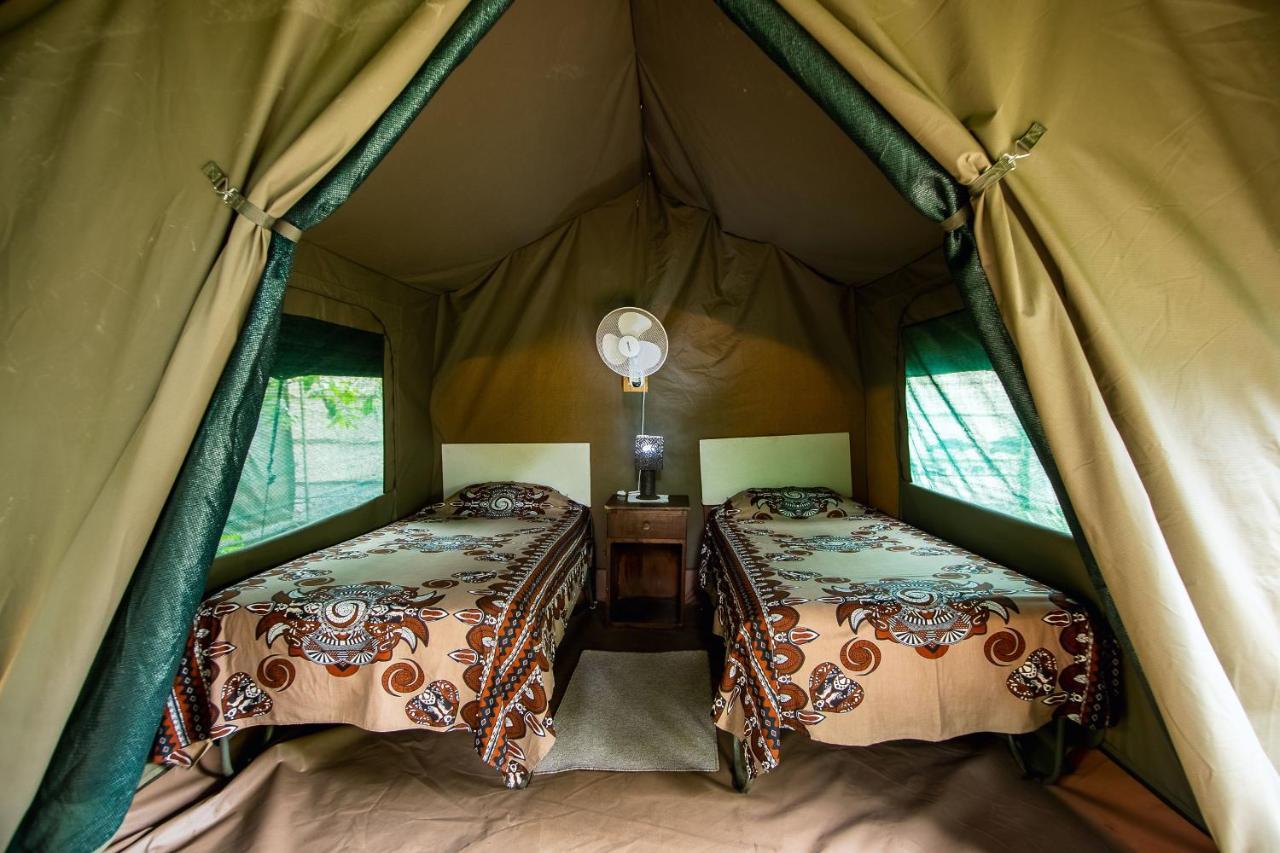 Victoria Falls Backpackers Lodge Bagian luar foto