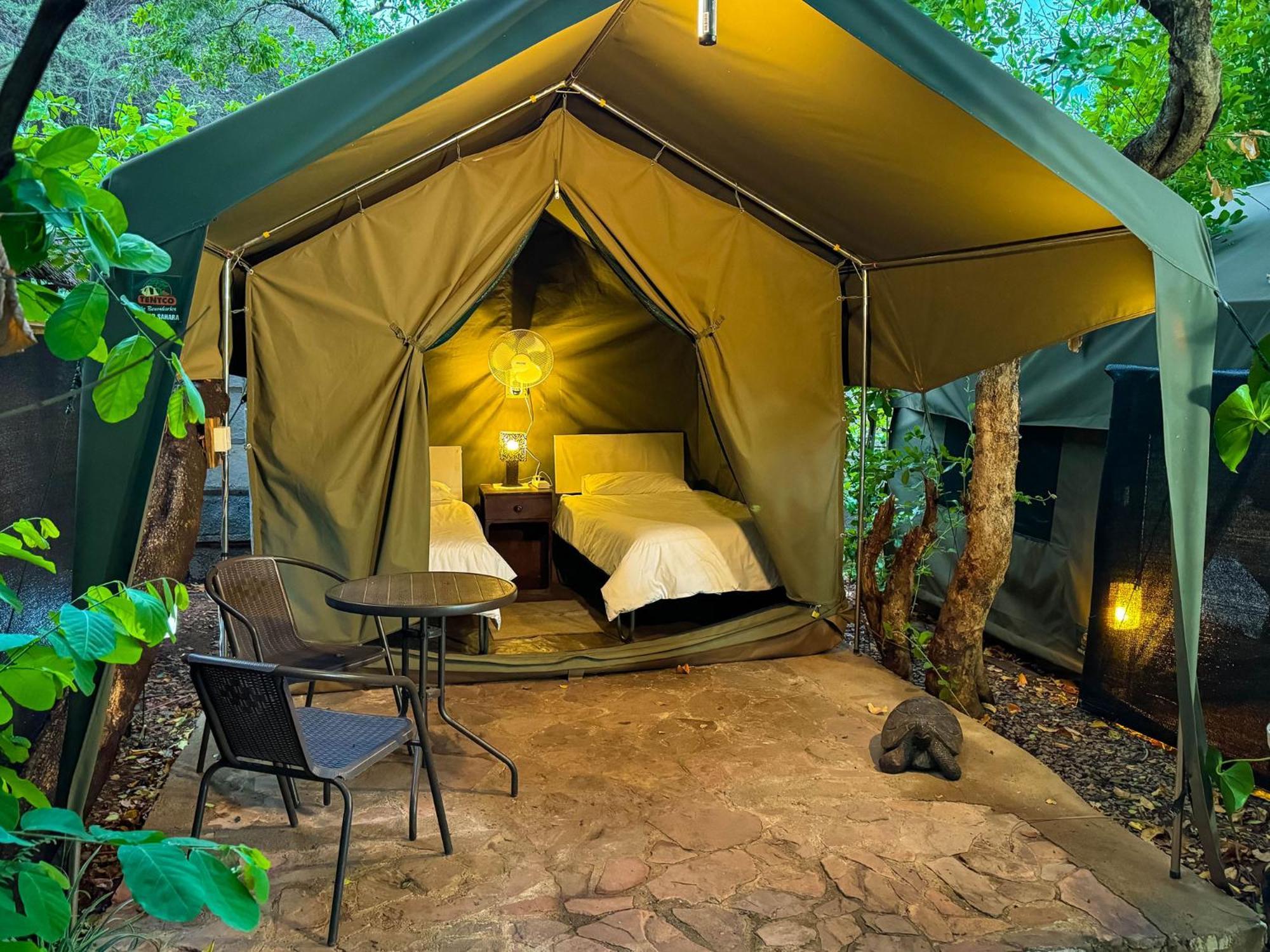 Victoria Falls Backpackers Lodge Bagian luar foto