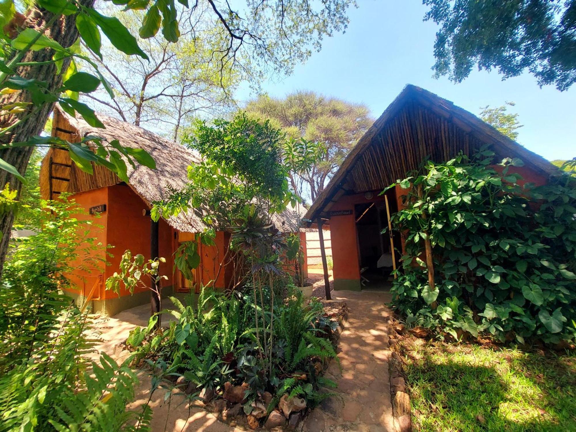 Victoria Falls Backpackers Lodge Bagian luar foto