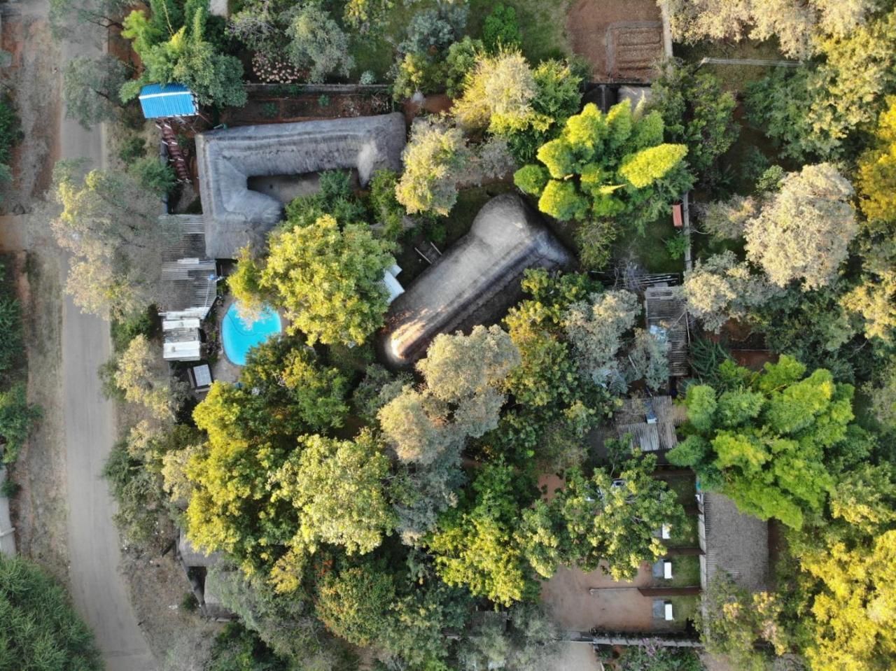 Victoria Falls Backpackers Lodge Bagian luar foto
